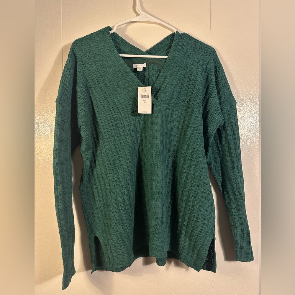 J. Jill Chenile Sweater